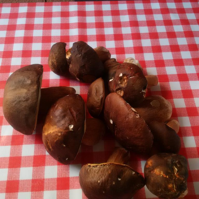 לינה וארוחת בוקר Divača Osterija Na Planinci מראה חיצוני תמונה